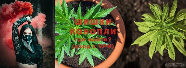 ALPHA PVP Беломорск
