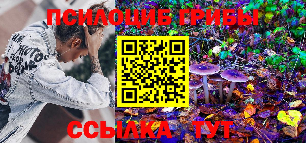 Псилоцибиновые грибы GOLDEN TEACHER  Вход с VPN  Реутов 